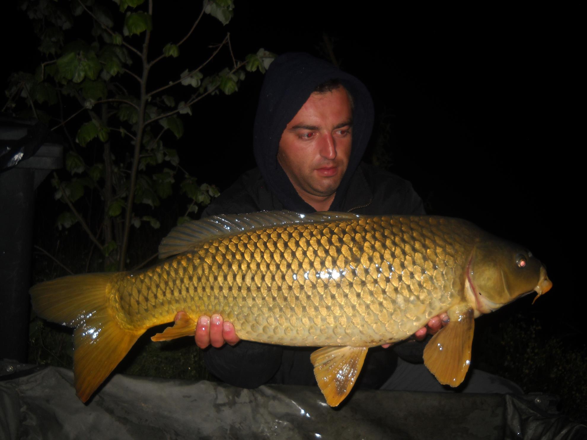 Fughiu BH - dscn1092.jpg